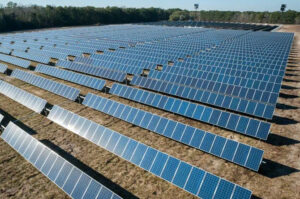 Imagen ilustrativa de un campo de energía solar.